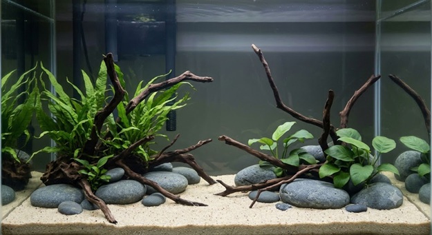 Aquascape